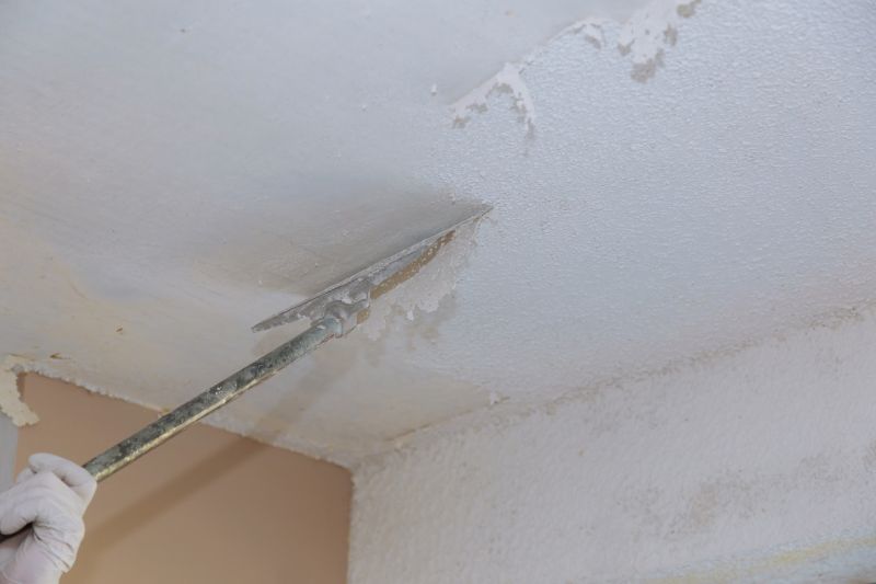 Ceiling Texture Removal